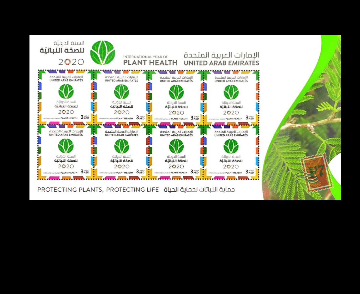 THE INTERNATIONAL YEAR OF PLANT HEALTH IN 2020